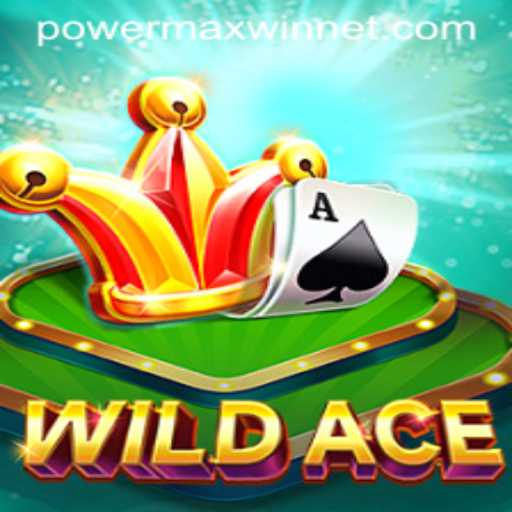 Exploring the Thrills of WildAce: A Deep Dive into the Game Mechanics and the PowerMaxWin Feature
